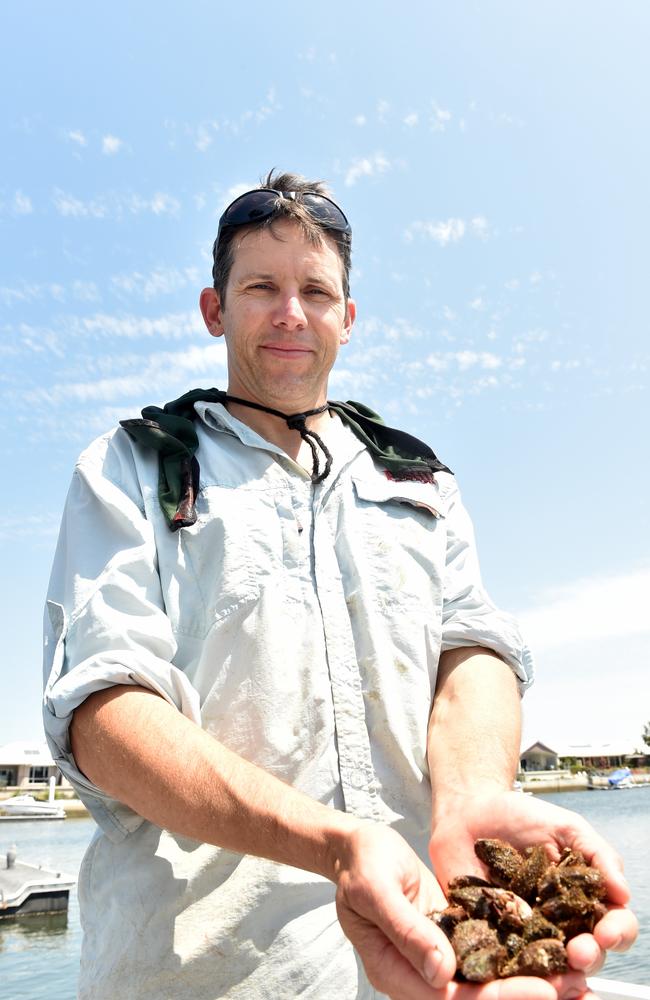 Dr Ben Diggles is a pioneer in his field of marine biology.