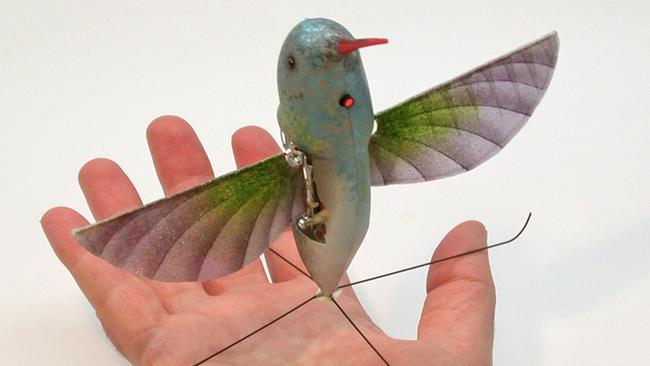 Eye in the sky ... A life-size Hummingbird-like unmanned aircraft, named Nano Hummingbird, developed for the Defense Advanced Research Projects Agency (DARPA). Source: AP