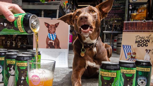 Jacket is happy to check out her merchandise at the Moon Dog Craft Brewery in Abbotsford. Picture: Jay Town