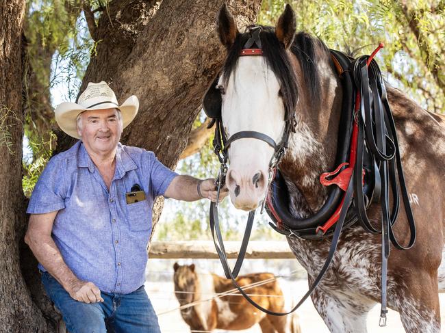 NEWS: Draught Horse MusterRushworth Easter Muster, lots of draught horses, different events, but he's also a farmer and it'll be about his history with horses and on the farm as well.Pictured: John Quinsee with Dougie their Clydesdale.