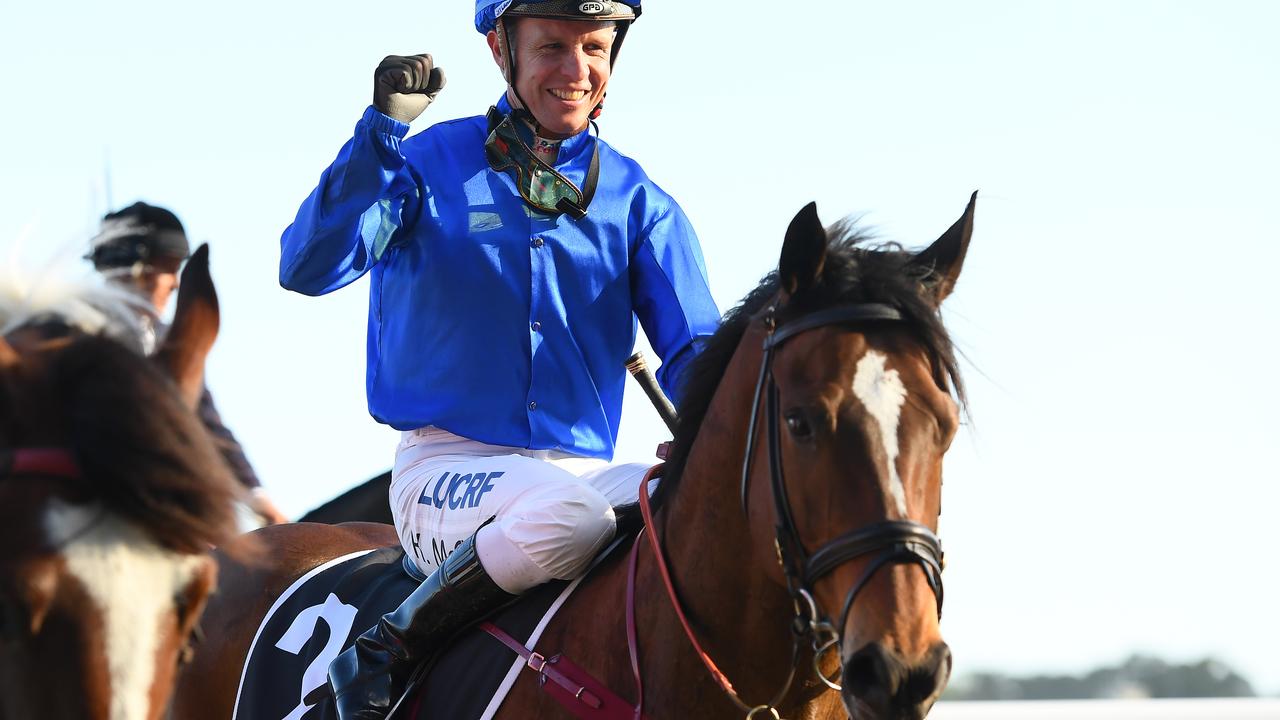 Winterbottom Stakes favourite Trekking. Photo by Quinn Rooney/Getty Images