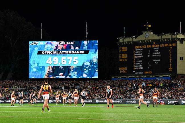 Showdown 46 was watched by 49,675 spectators at Adelaide Oval. Picture: Daniel Kalisz/Getty