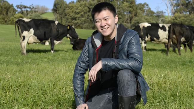 Chinese listed company DFP Australia has bought two farms, one at Poowong and one at Athlone. General manager Roy Wang at the Poowong Farm.