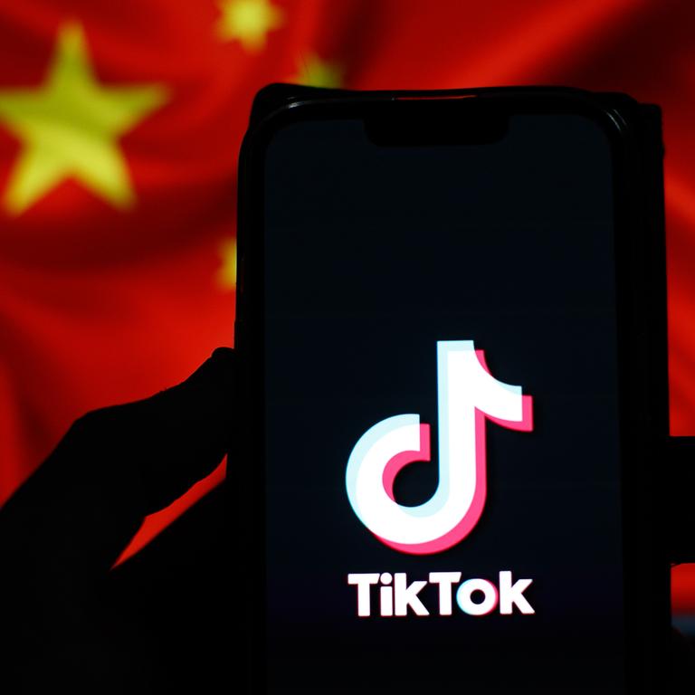 Many countries have introduced TikTok bans over security fears. Picture: NCA NewsWire/Tim Pascoe