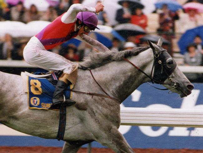 Horseracing - racehorse Subzero, ridden by jockey Greg Hall, ploughs through the heavy conditions on his way to a decisive win in the Melbourne Cup at Flemington Racecourse, 03 Nov 1992.