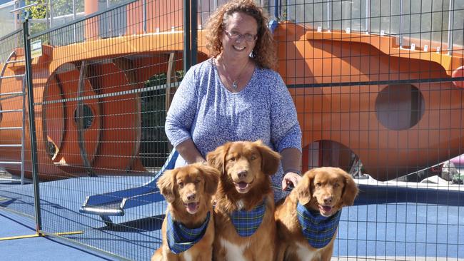 Dawn Fougere with three of her Tollers.