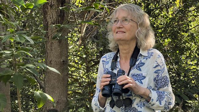 BirdLife Redlands and Brisbane Bayside branch convener Kathy Clark said better ways to keep birds from eating the prawns could be found. Picture: Contributed