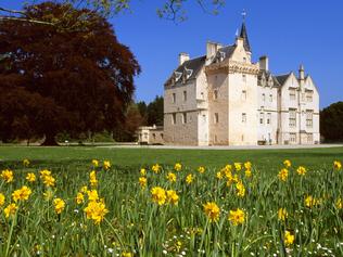 AirBNB castles .. Scottish Castle - The daffodils at Brodie Castle. Picture: Supplied