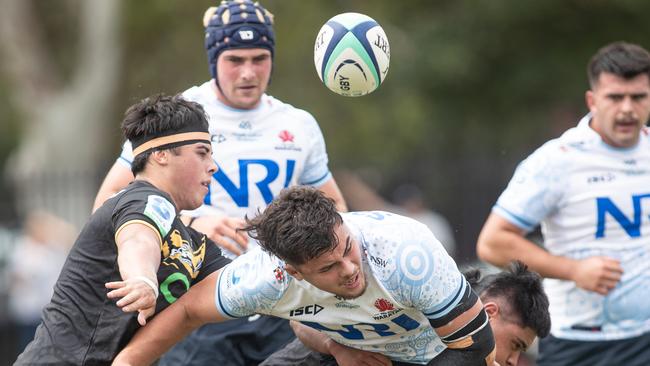 08/03/25. News Local. Sport. Daceyville, Sydney, NSW. Pics by Julian Andrews.Action pictures from the NSW Waratahs U20  V Western Force at Daceyville.Jacob Veiru loses the ball