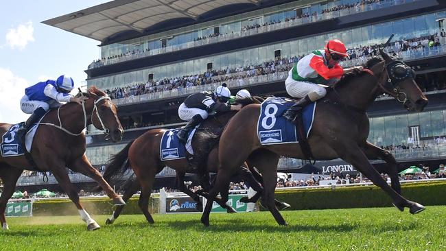 Ron Dufficy believes Handle The Truth can win The Kisciuszko. Picture: AAP Image
