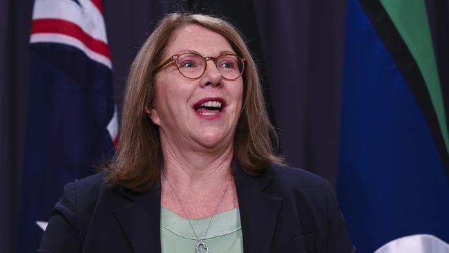 Minister for Infrastructure, Transport and Regional Development Catherine King holds a press conference at Parliament House in Canberra. Picture: NCA NewsWire / Martin Ollman