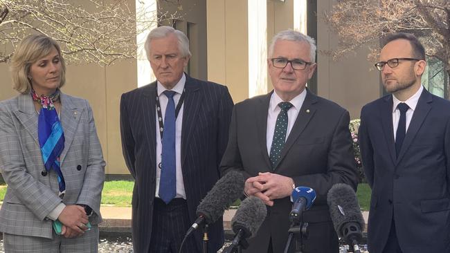 Zali Steggall, John Hewson, Andrew Wilkie and Adam Bandt. Picture: Supplied