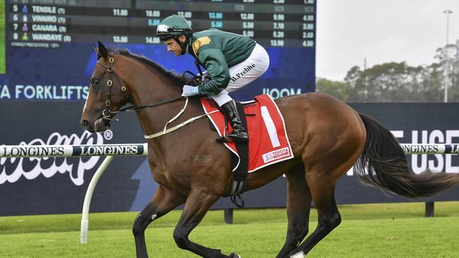 Everybody Rise can break through for his first win at Canterbury. Picture: Bradley Photos