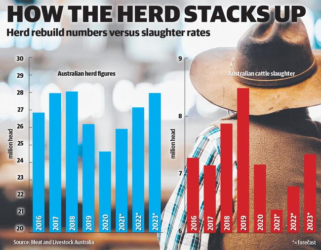 Herd rebuild numbers versus slaughter rates