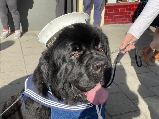 Newfoundland Lest at the Latrobe Anzac Day ceremony