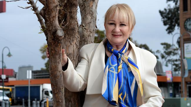 Salisbury Mayor Gillian Aldridge Pic: Dave Cronin.