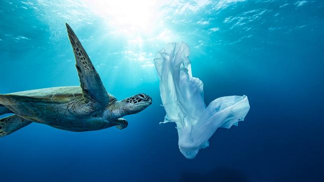 <span id="U701971942177O2G" style="font-weight:bold;font-style:normal;">PLASTIC PERIL:</span> Christian has used powerful underwater images of sea creatures in plastic filled oceans to spread his conservation message. Picture: CHRISTIAN MILLER