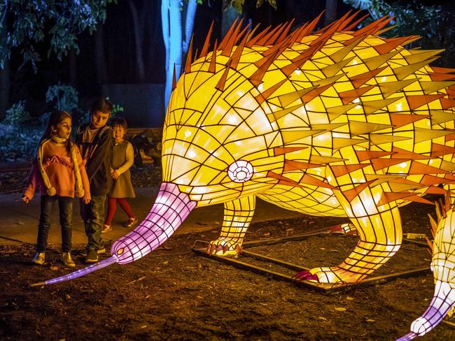 A Wild Lights at Taronga display as part of Vivid Sydney. Picture: Destination NSW