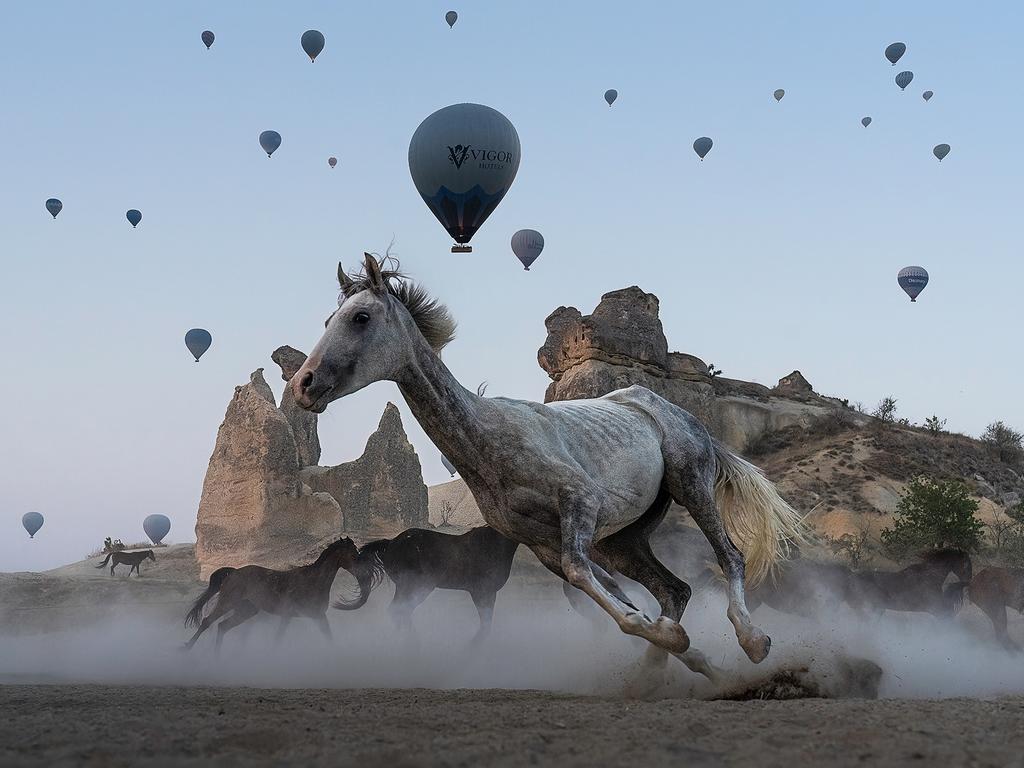 In Cappadocia’s Goreme valley, early morning brings hot air balloons and spirited horses together. Picture: Sarah Wouters