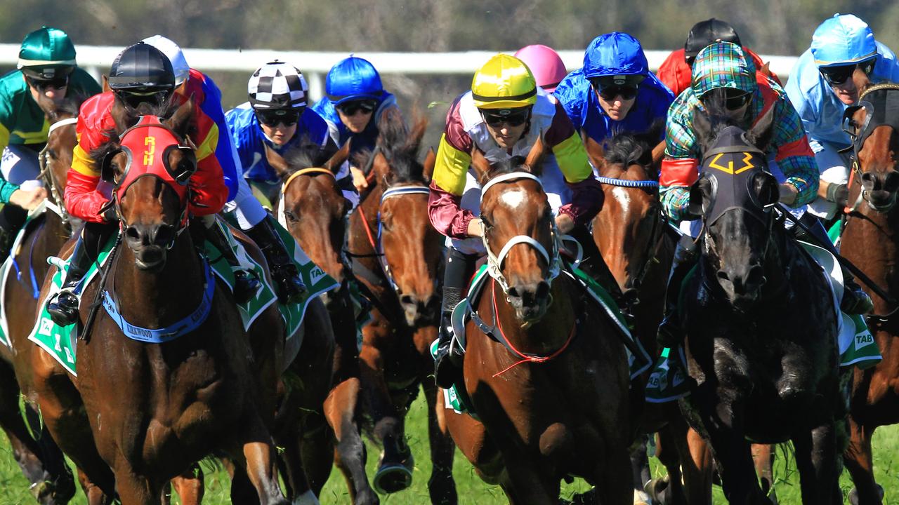 Racing in New South Wales on Thursday is at Gosford and Tamworth.