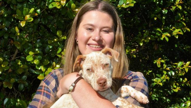 Happy Paws Happy Hearts Explore program participant Tally Allwood with Hugo the cattle dog cross. Picture: Rhylea Millar