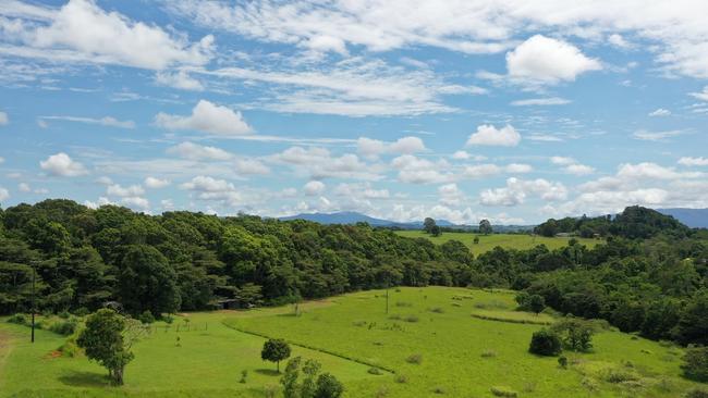 This 21.8ha property at Jaggan, near Malanda, has untouched rainforest and a creek. Picture: supplied.