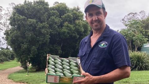 Australian Avocados grower and Tamborine/Northern Rivers Regional Director, Tom Silver. Picture: Supplied