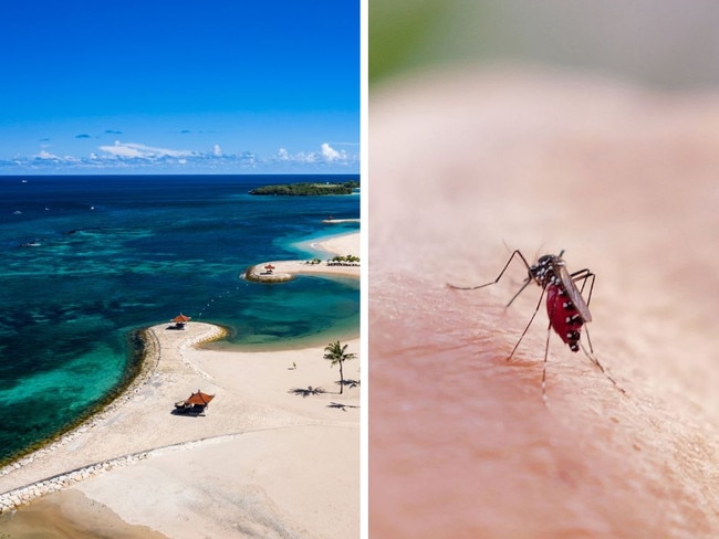 Australians heading to Bali have been warned after a recent surge in dengue fever cases in the region. 
