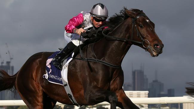 Surprise Baby takes out the Brew Handicap. Picture: AAP