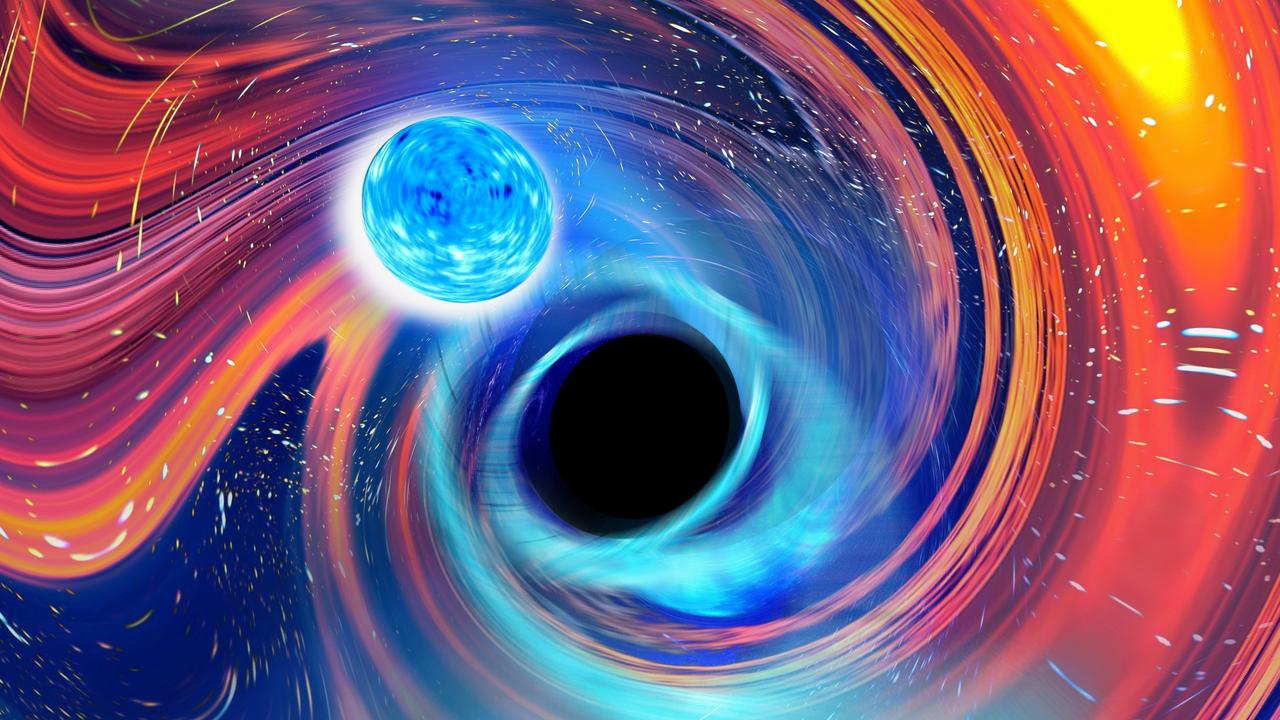 An artist’s drawing of the neutron star as it is about to be swallowed by the black hole. Picture: Carl Knox, OzGrav-Swinburne University
