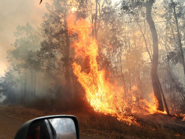 Firefighters battle bushfires in Busbys Flat, northern NSW, Wednesday, October 9, 2019. (AAP Image/Jason O'Brien)