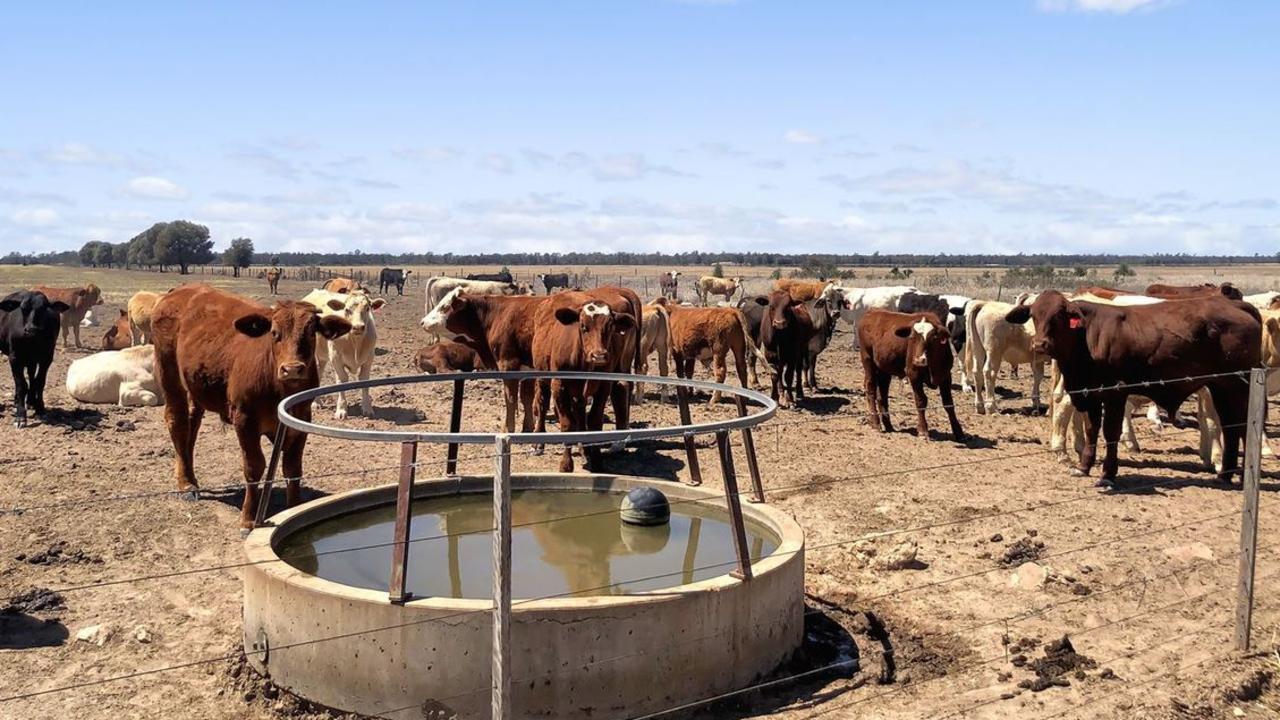 UP FOR AUCTION: Hayes Creek in Moonie, a 7,000 acre property, is going up for auction on December 3. Picture: realestate.com.au