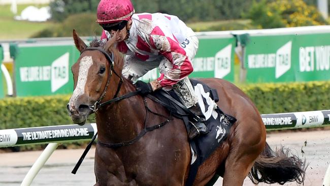Champagne Cuddles will appreciate stepping up to 1400m on Saturday.