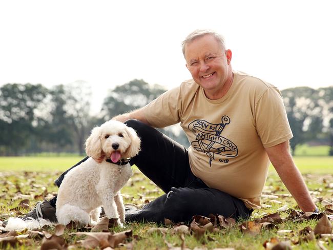 ‘Emotional’ Anthony Albanese with his dog Toto. Picture: Sam Ruttyn