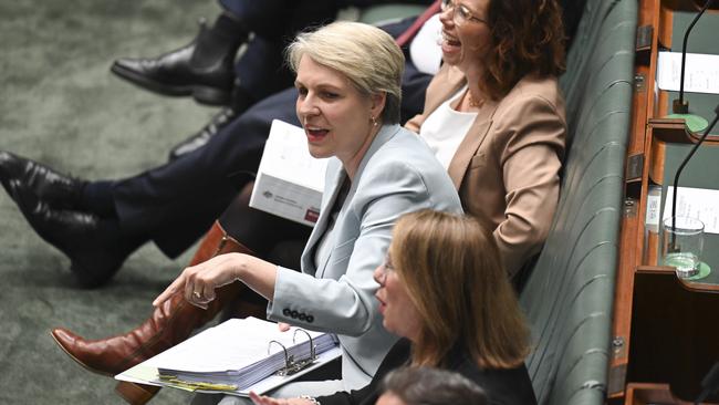 Environment minister Tanya Plibersek.