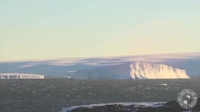 Ice shelf collapse, Australian Antarctic Division