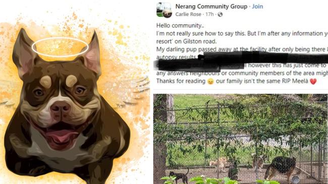 A Gold Coast family is mourning the loss of their dog, Meela.