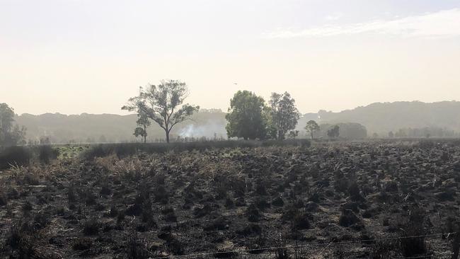 Burnt fireground at Duranbah in Tweed Shire.