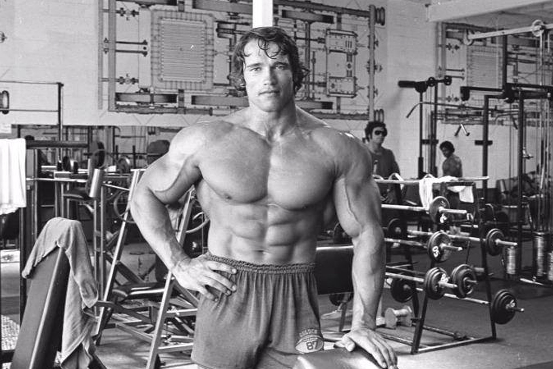 Arnold schwarzenegger bodybuilding