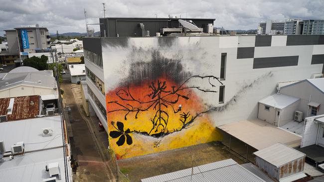 A new mural has been added to Mackay's street scene. Picture: Contributed