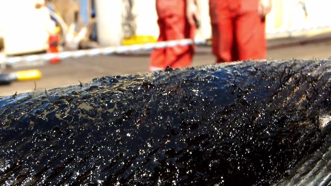 A section of the damaged cable on board the IleDe Re. Picture: SUPPLIED