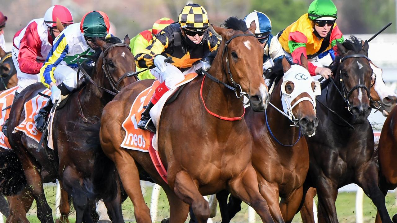 Horse Racing Tips, Best Bets For Caulfield And Rosehill Gardens | Daily ...