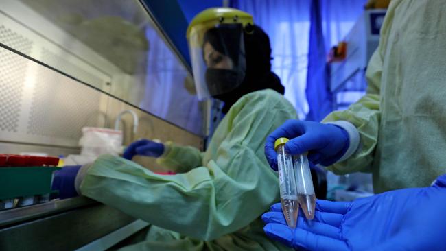 A medical worker handles test samples at a lab for COVID-19 coronavirus disease in the West Bank city of Ramallah. Picture: AFP