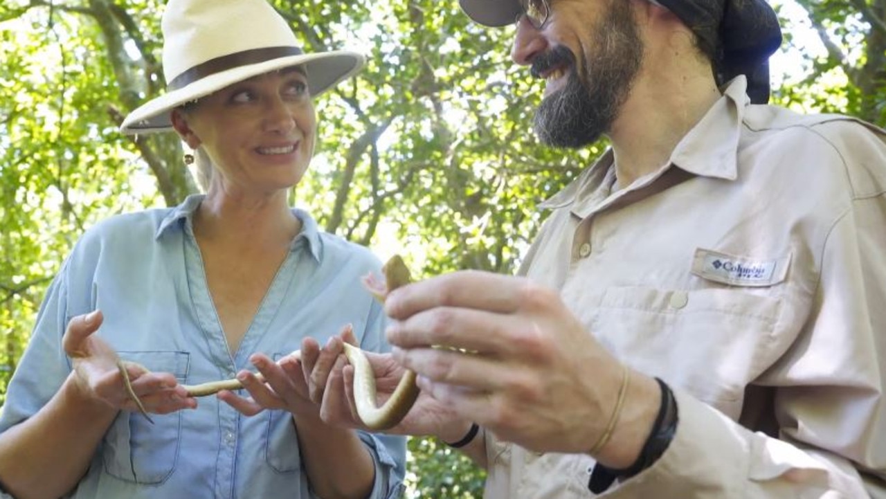 Snake Island: The reptile infested Brazil island where people aren’t ...