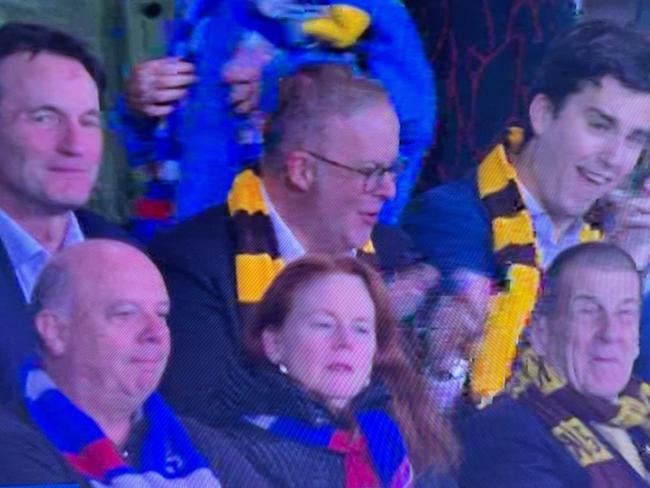 Andrew Dillon sits with Anthony Albanese at the footy.