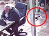 Deadly snake creeps up on Aussie