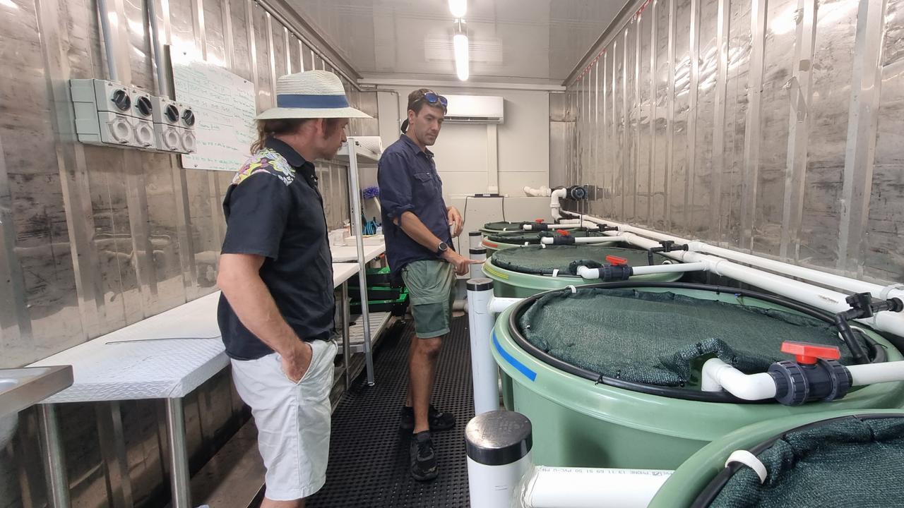 Anindilyakwa Land Council’s Groote Eylandt aquaponics project.