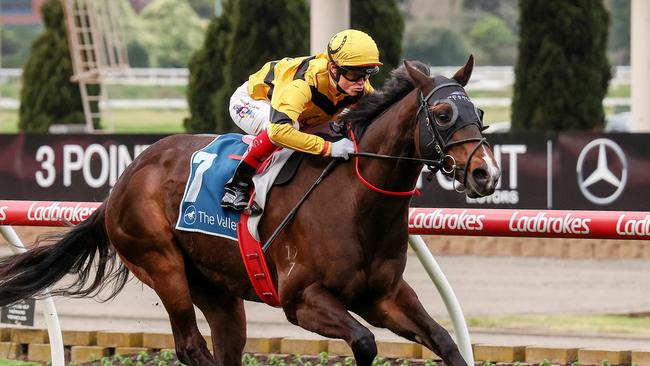 Acromantula leads all the way to win the Carlyon Stakes at The Valley. Picture: George Sal/Racing Photos via Getty Images