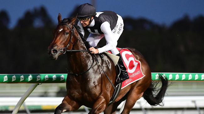 Miami Fleiss winning at the Sunshine Coast. Picture: Trackside Photography