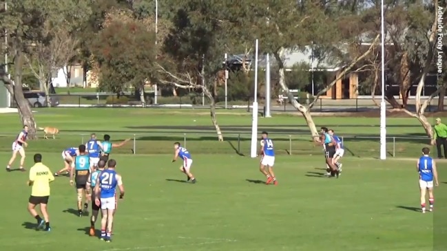 Portland v Gepps Cross div three R8 highlights